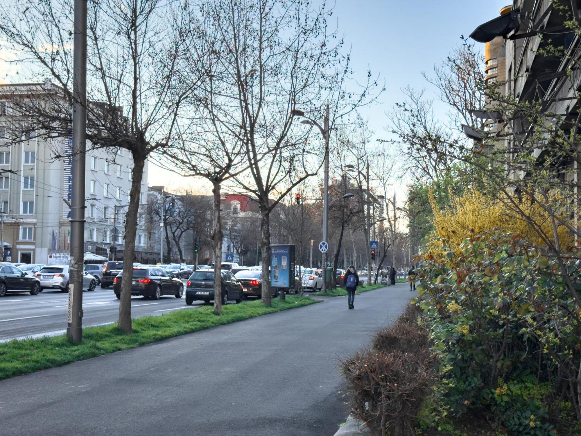 Central Retreat Apartments Bukares Bagian luar foto